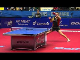 Timo boll
